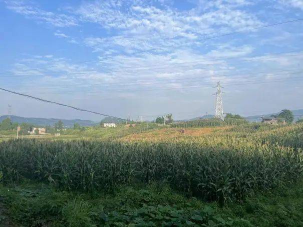 焦点娱乐:农村媒婆:村里有家暴、出轨,但没有单身自由